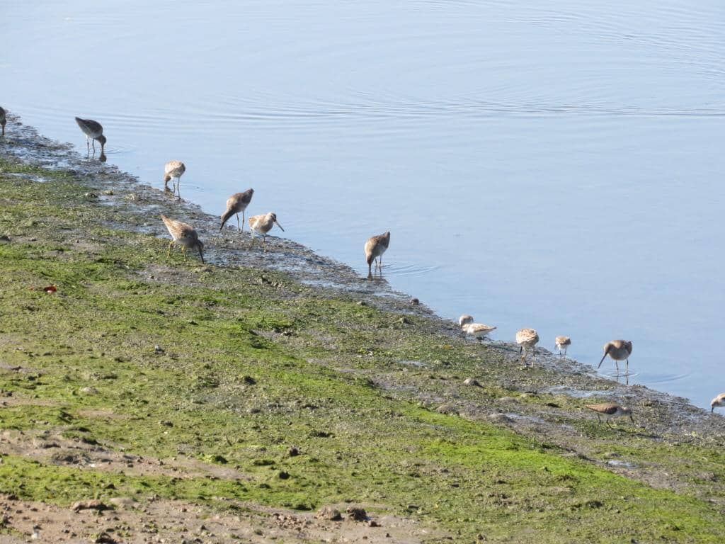 Surfing and Water Sports