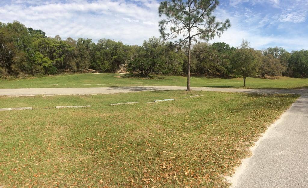 Observation Tower Views