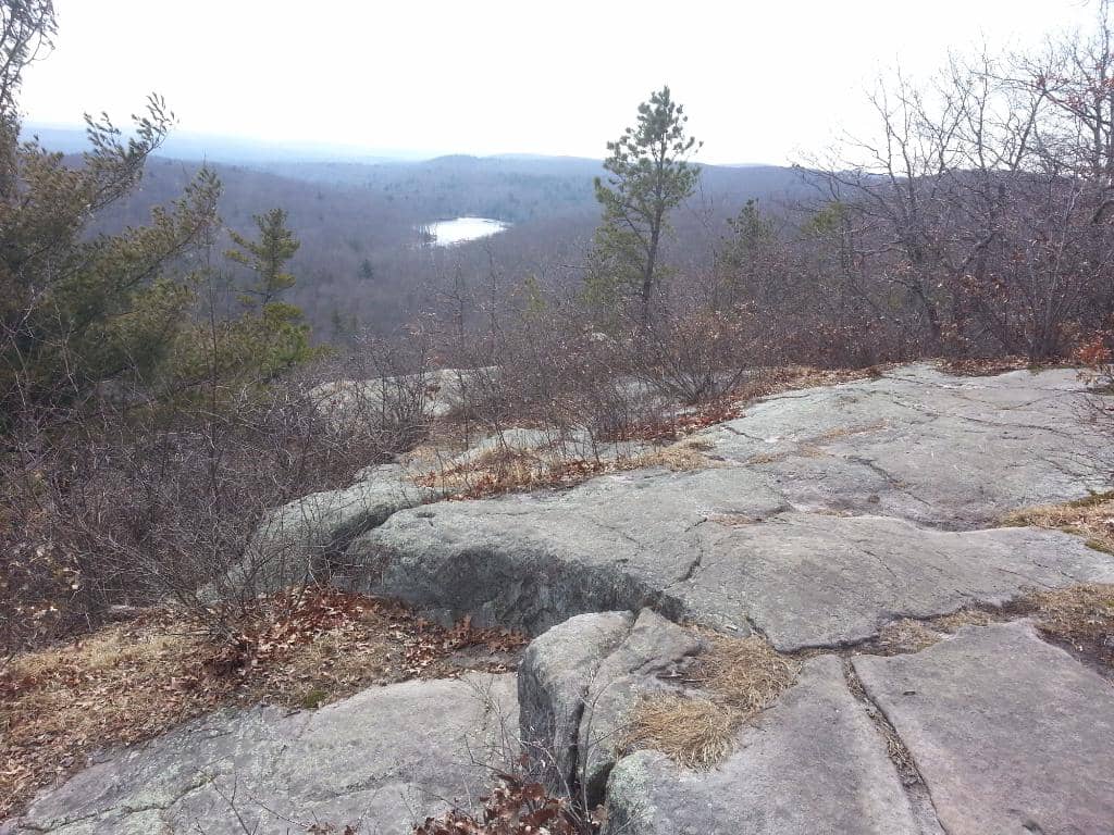 Diverse Flora & Fauna