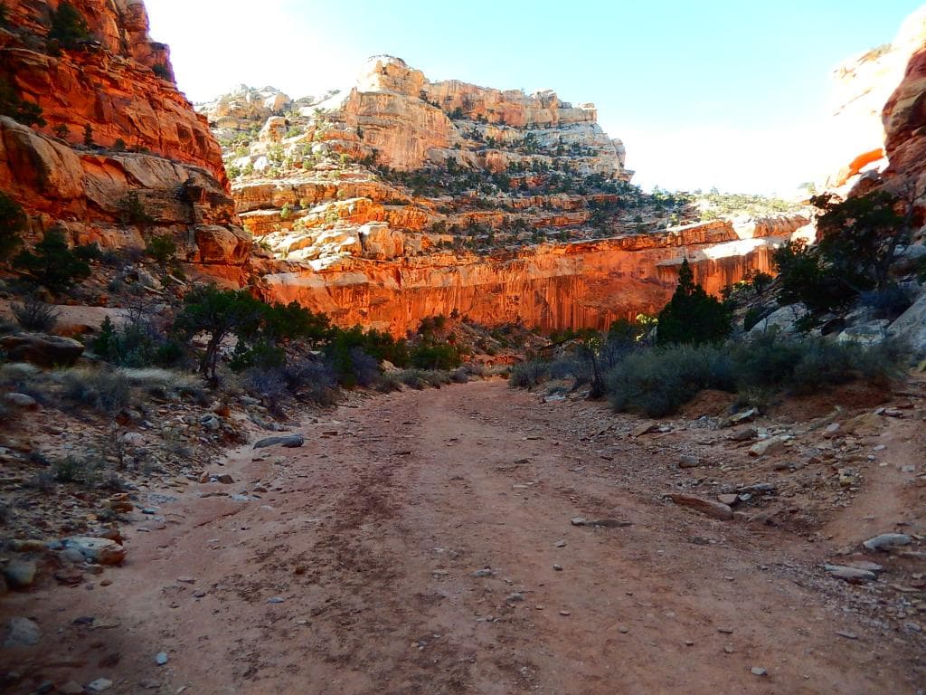along the trail