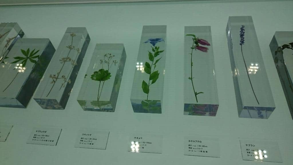 Flora and Fauna Exhibits