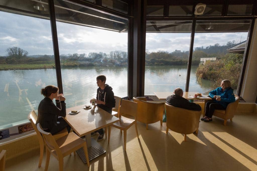 Wetland Discovery Boat Safari