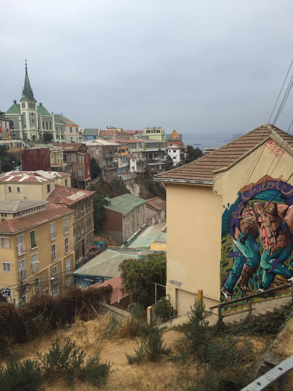 Flora Bar Restaurant