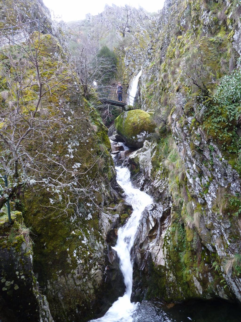Vertical photo