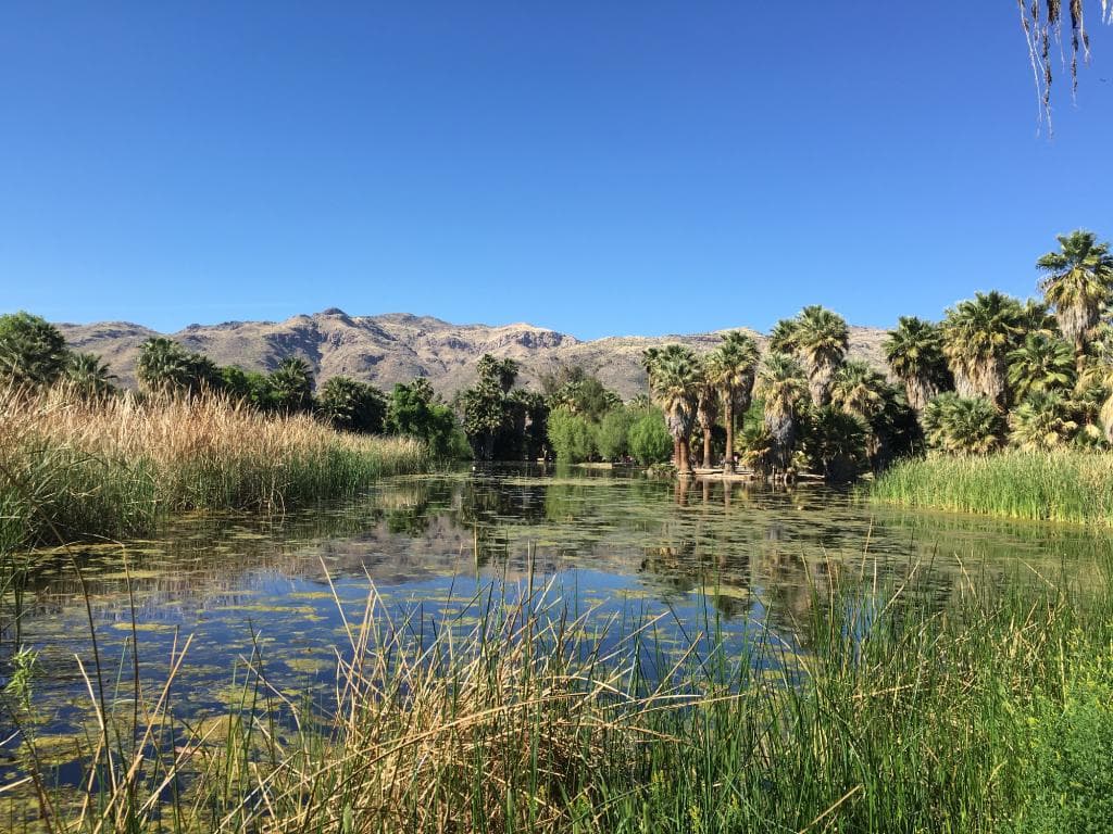 view of the lake from the entrance to the park