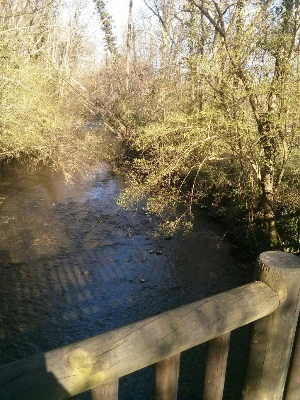 Wheelchair-Friendly Paths