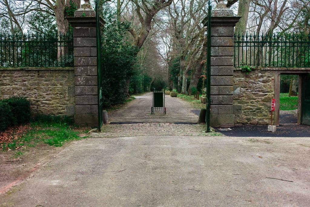 Vertical photo