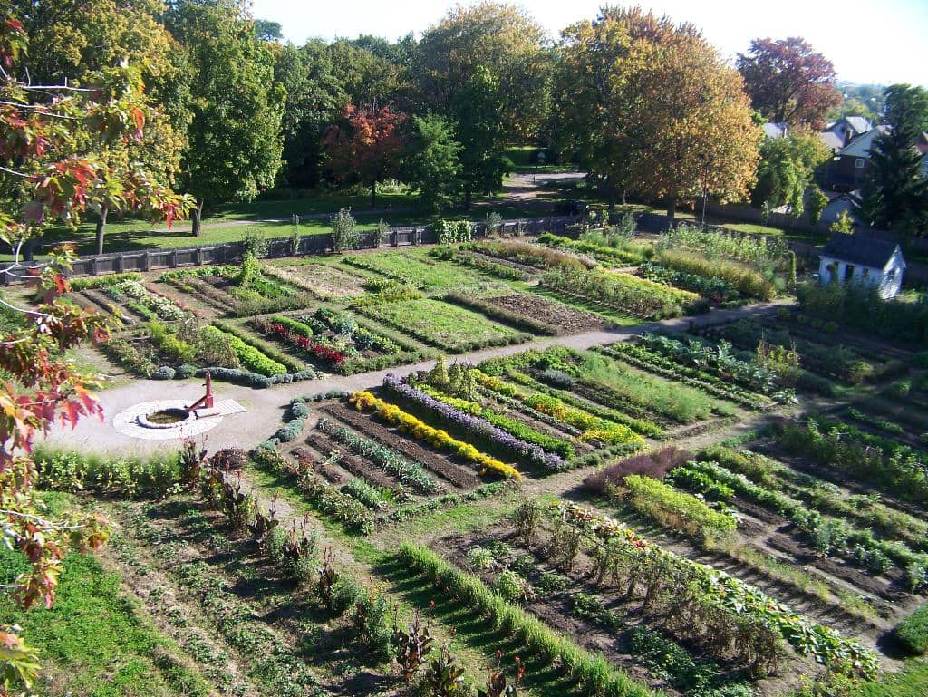 Kitchen Garden