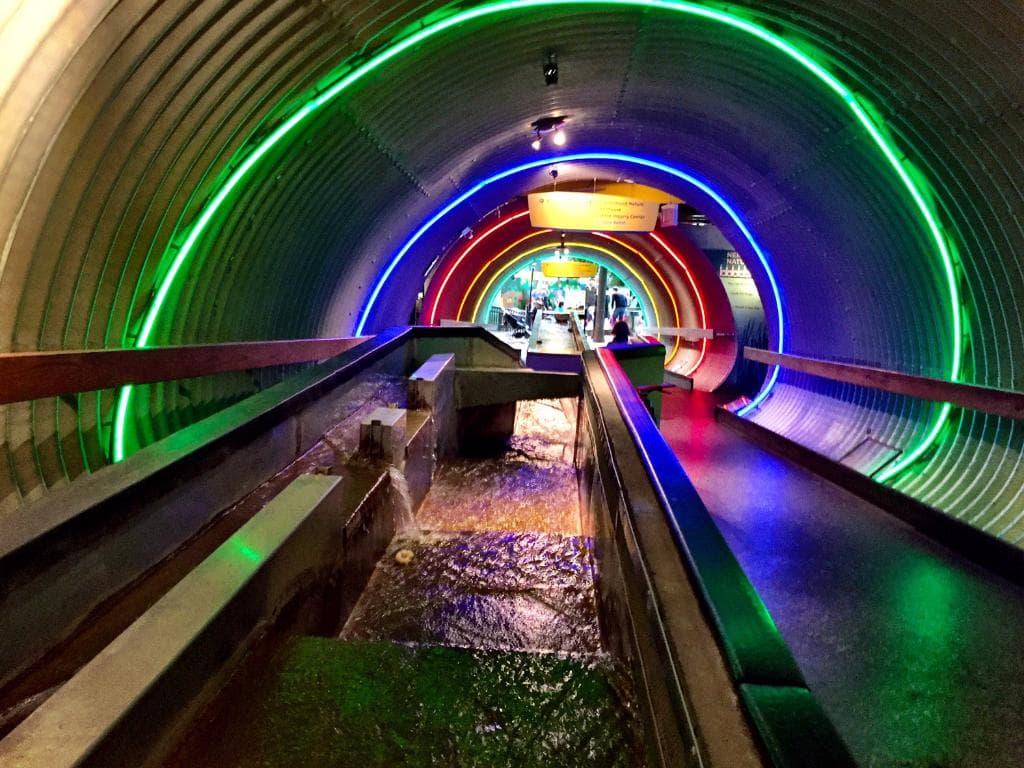 Brooklyn Children's Museum