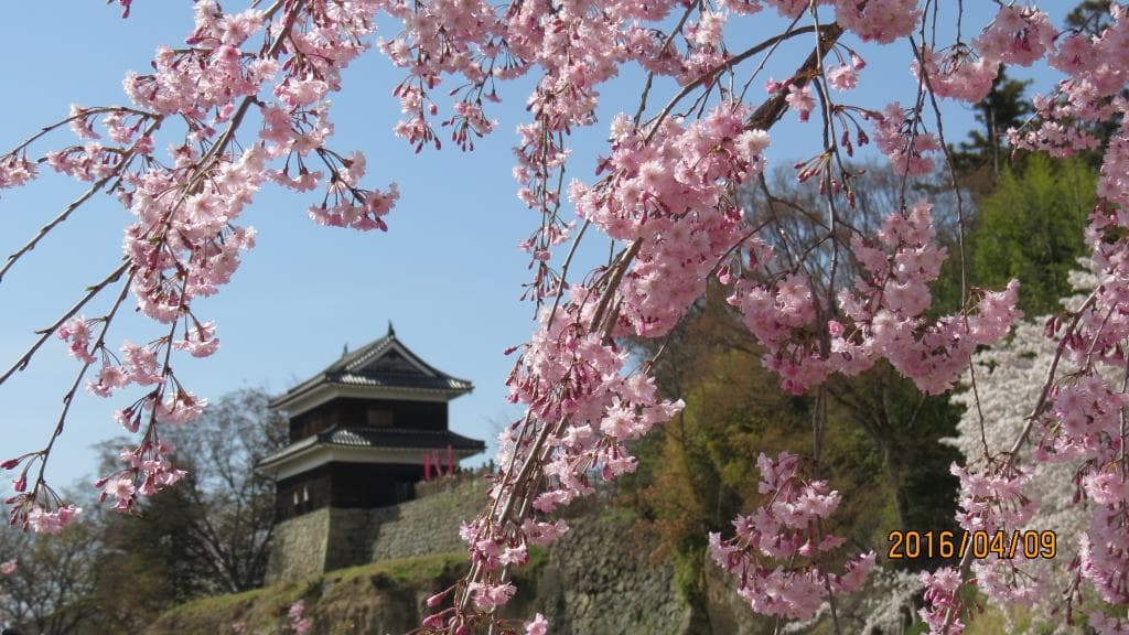 Shioda Plain Viewpoints