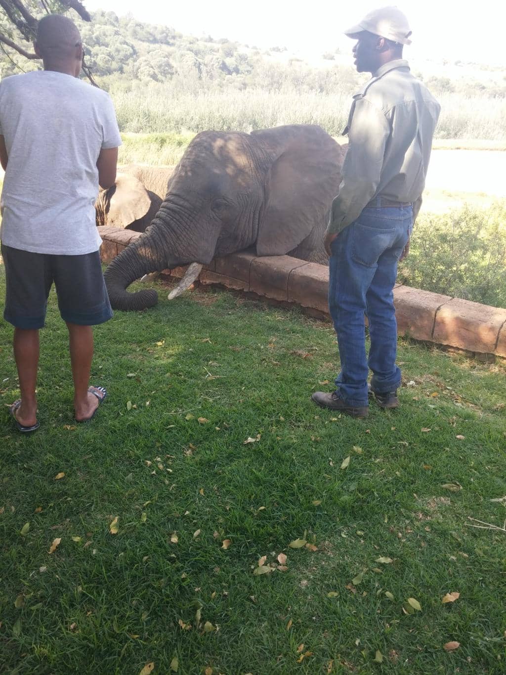 Highlights