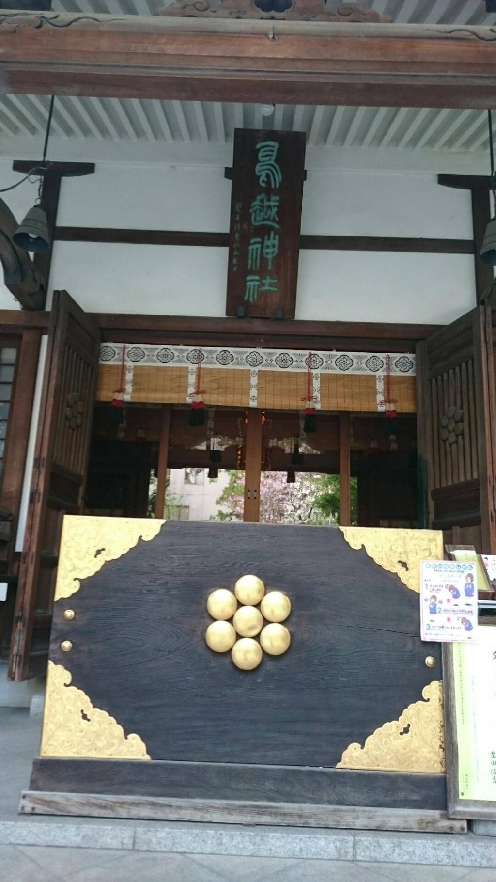 Vertical photo