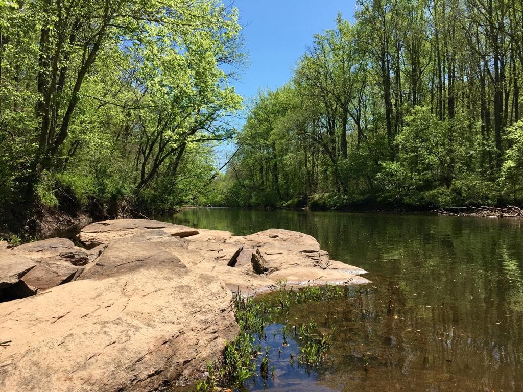Bull Run Occoquan Trail