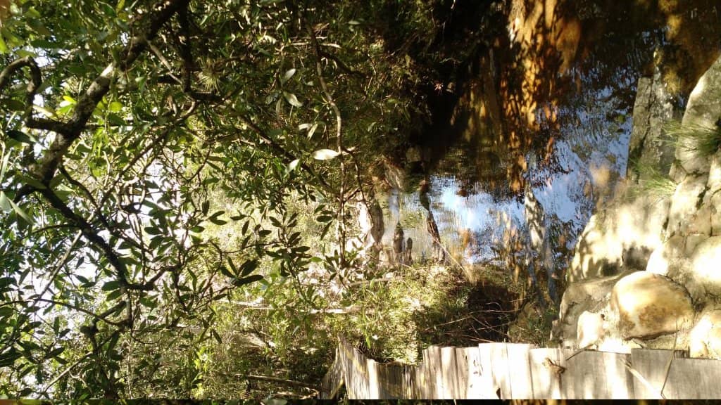 Suspended Footbridge
