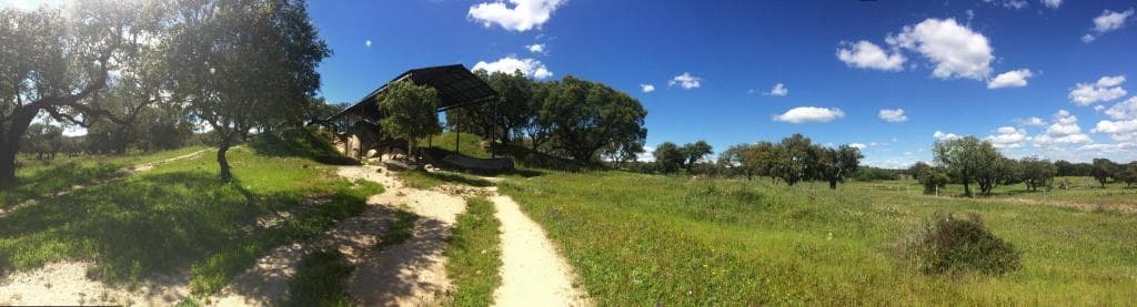 Anta Grande do Zambujeiro