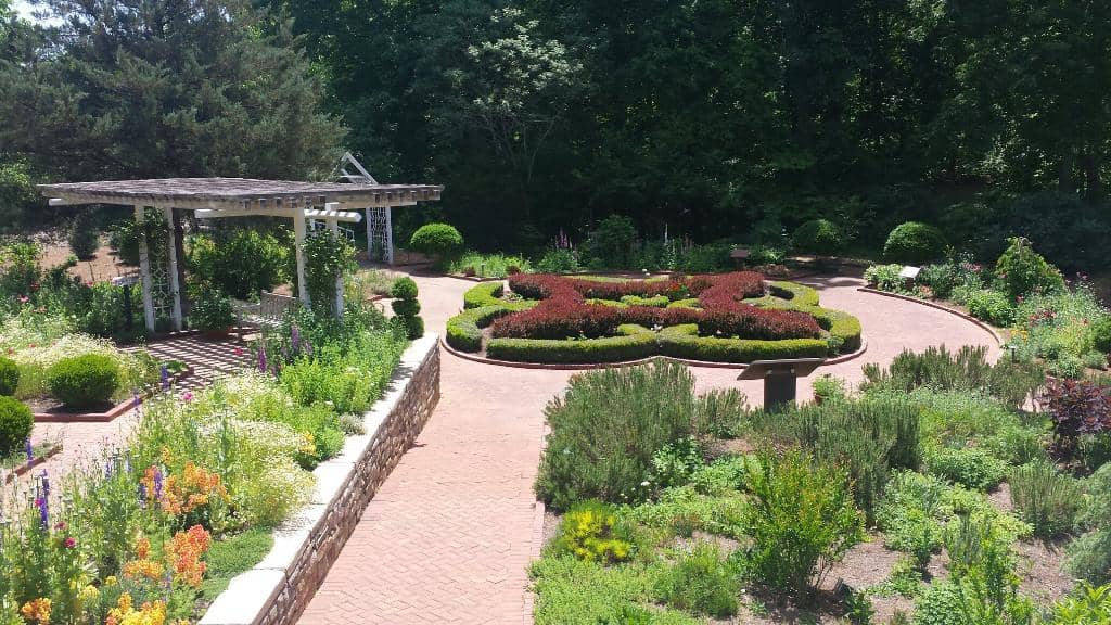 Butterfly Garden