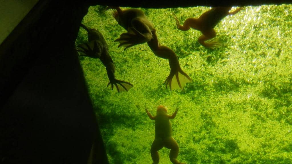 Historic Albert Kahn Architecture