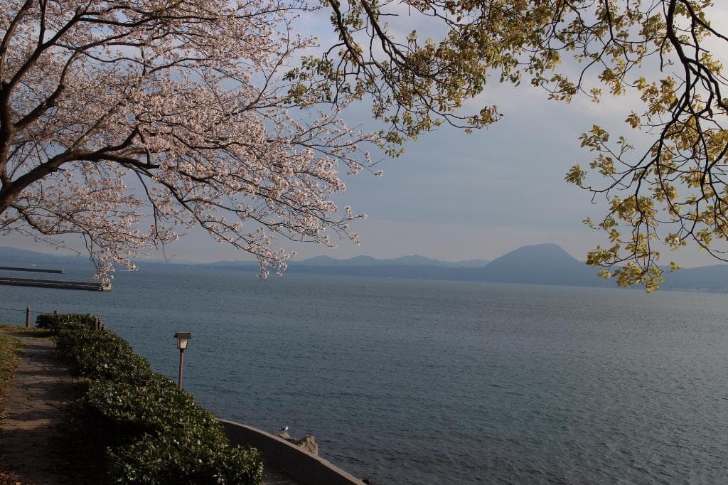猿の高崎山を別府湾の向こうに