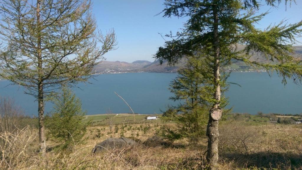 Omeath Village Charm