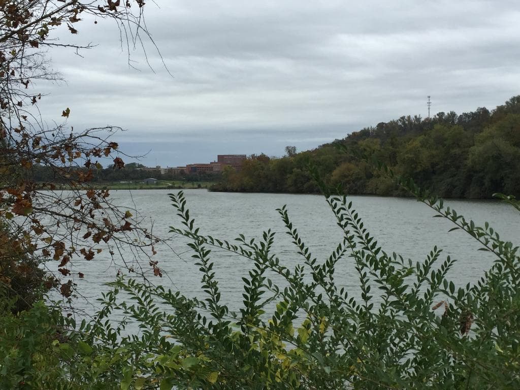 Sequoyah Hills Park and Greenway