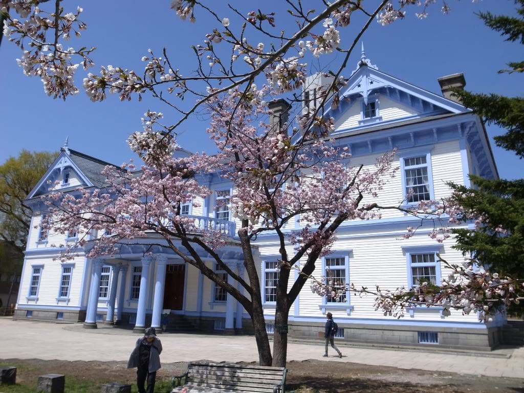 青い空と桜と豊平館