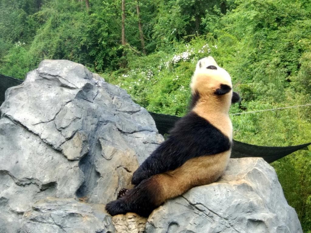 Kunming Wildlife Park