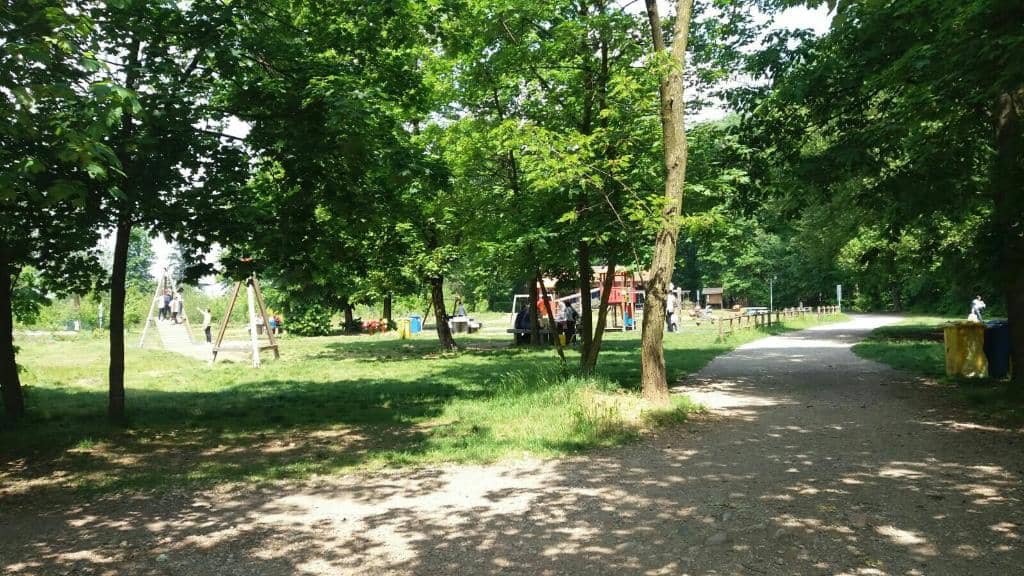 Picnic & BBQ Areas
