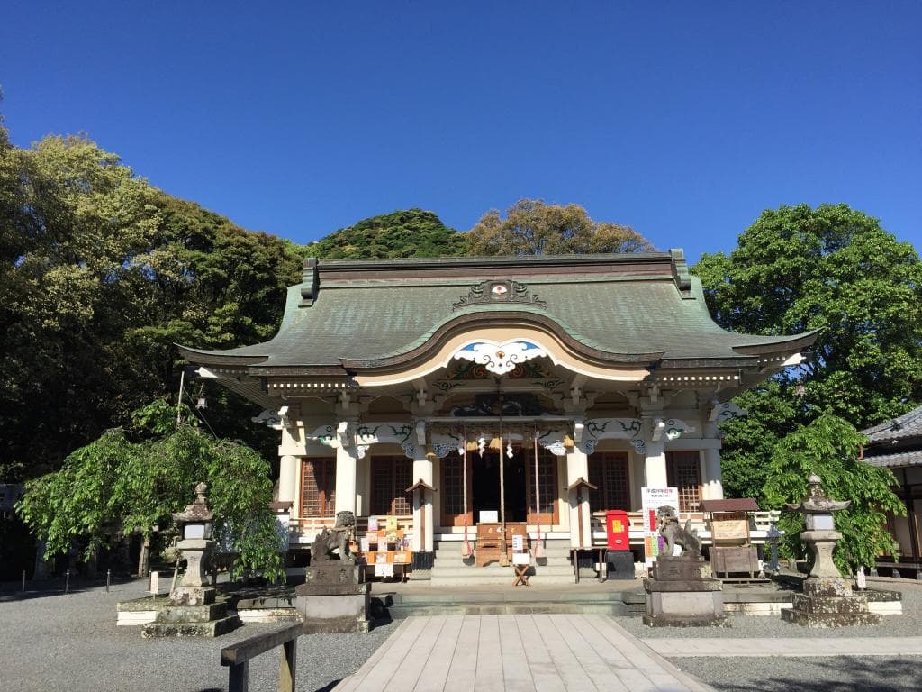 Giant Camphor Tree Takeo
