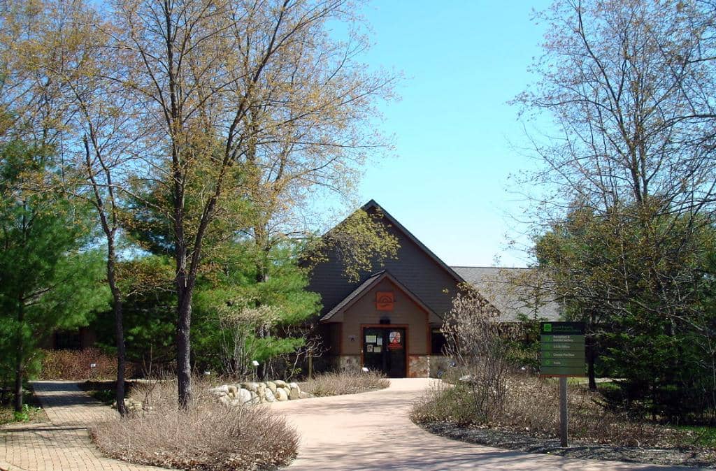 Nature Playscape