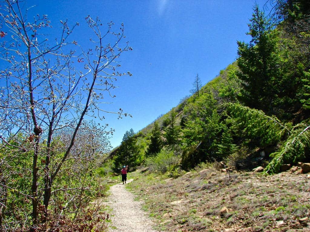 The Thrill of the Spray