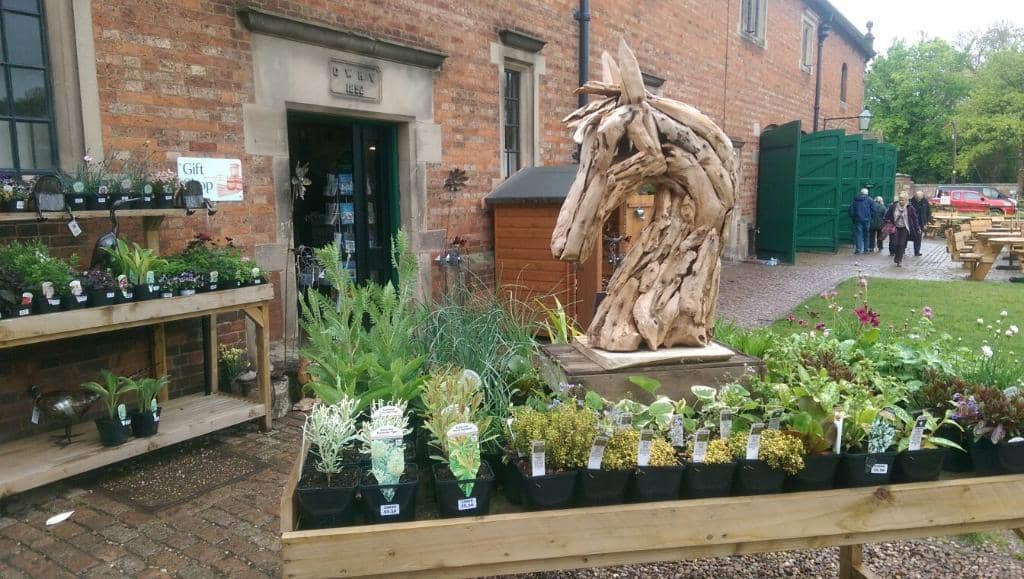 Subterranean Exploration