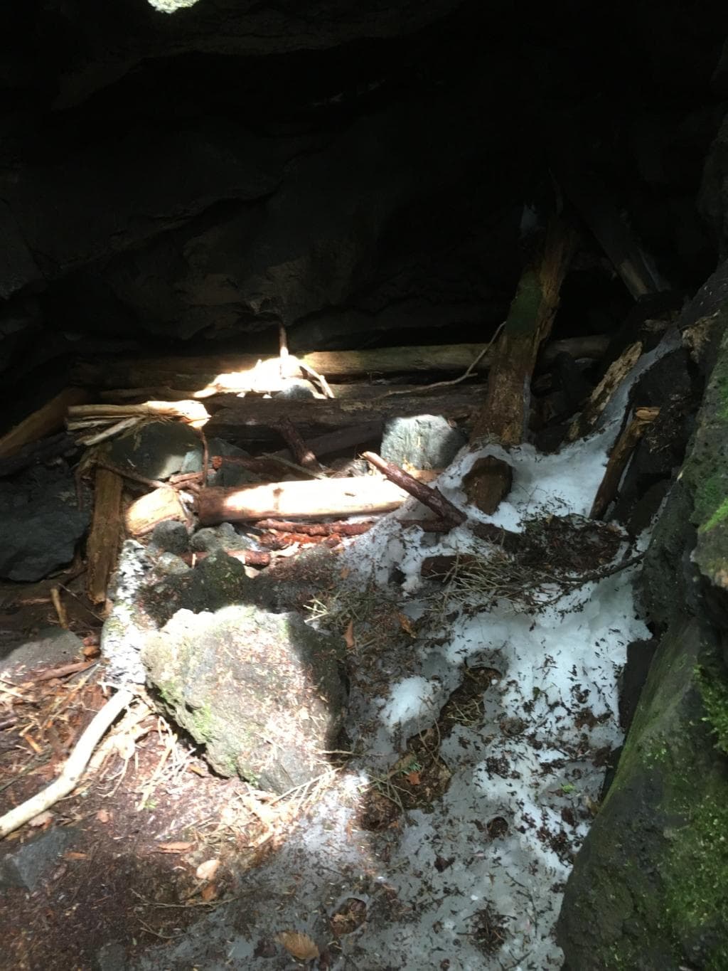 こおりあな内部 氷が残っている