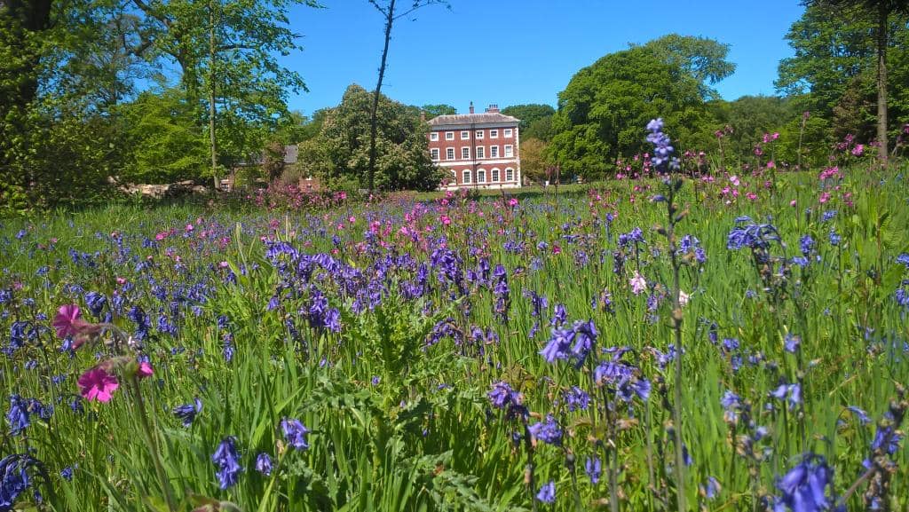 Woodland Walks & Sculptures