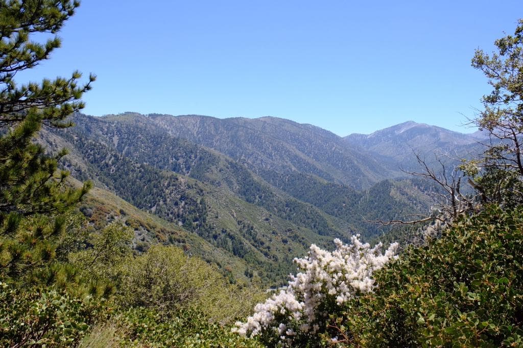 Pacific Crest Trail just off of Angels Crest Hwy