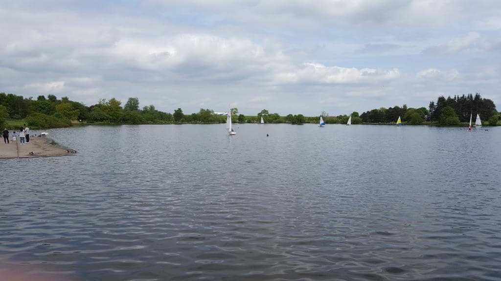 Carp Fishing