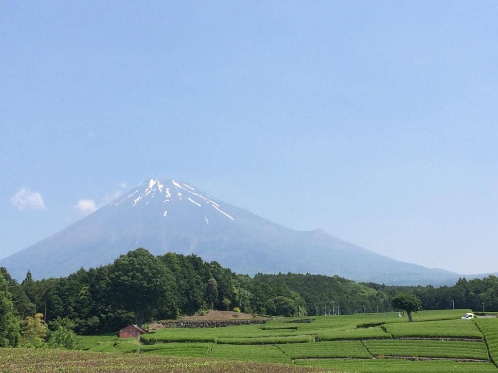 Mt. Fuji Vista Point