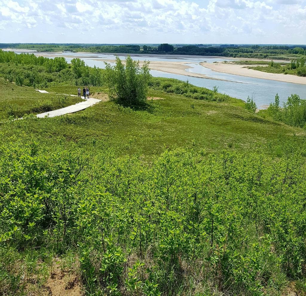Cranberry Flats May 29, 2016