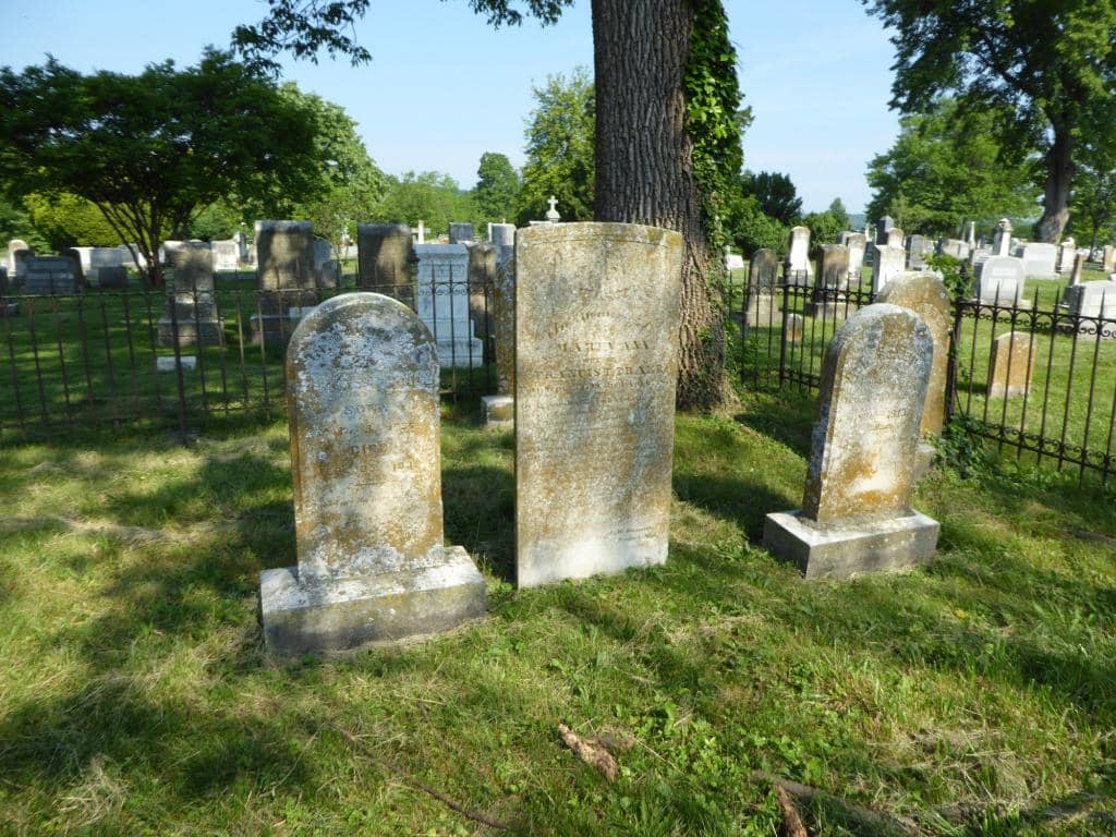 Well-Maintained Grounds