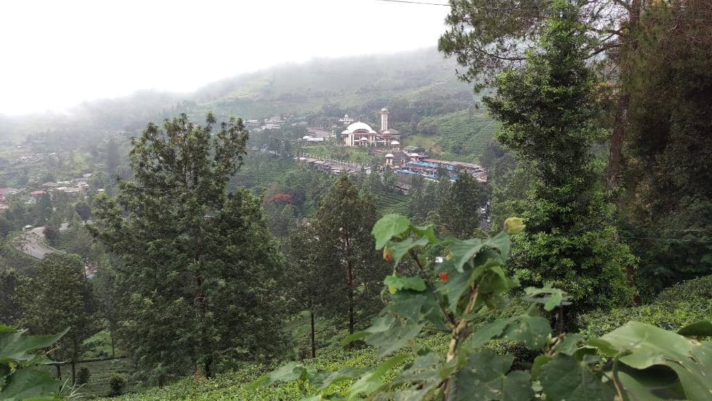 Soaring Above Puncak