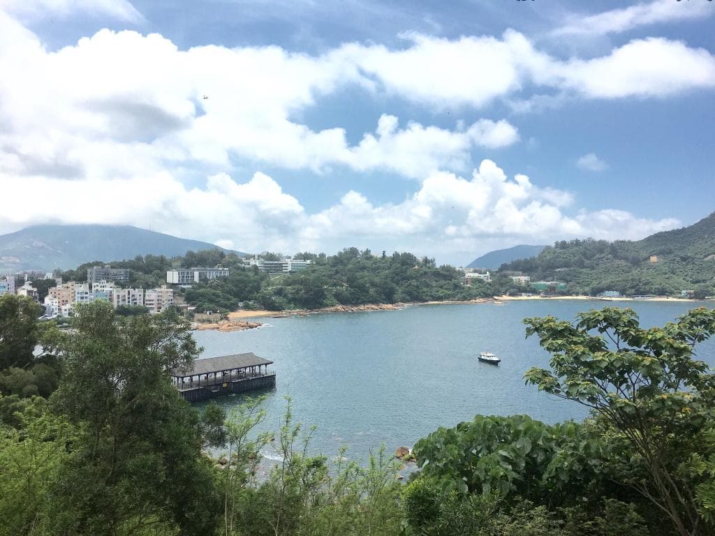Viewing platform - Blake Pier and Stanley Bay. May 2016