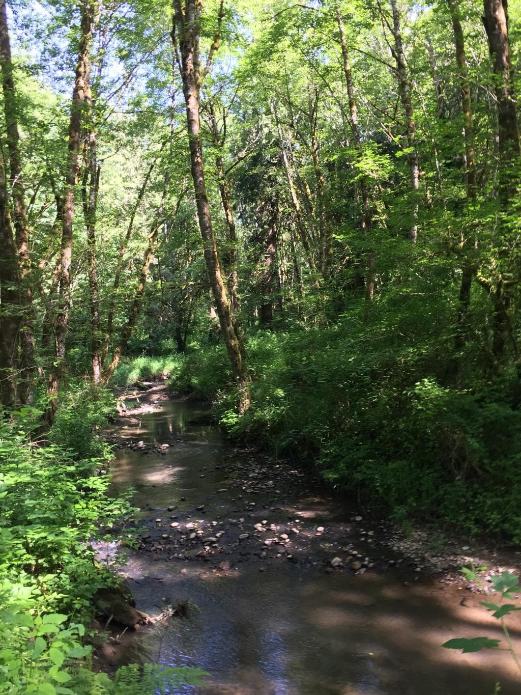 Tryon Creek State Natural Area