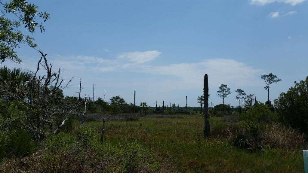 Boardwalk Trails