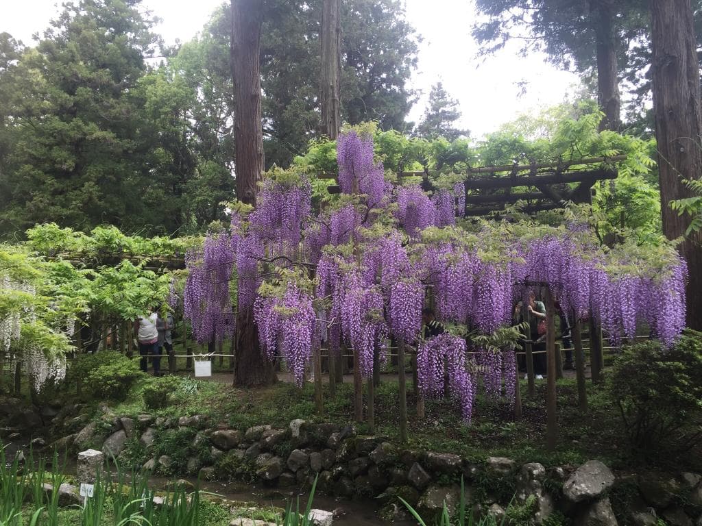Manyo Botanical Garden