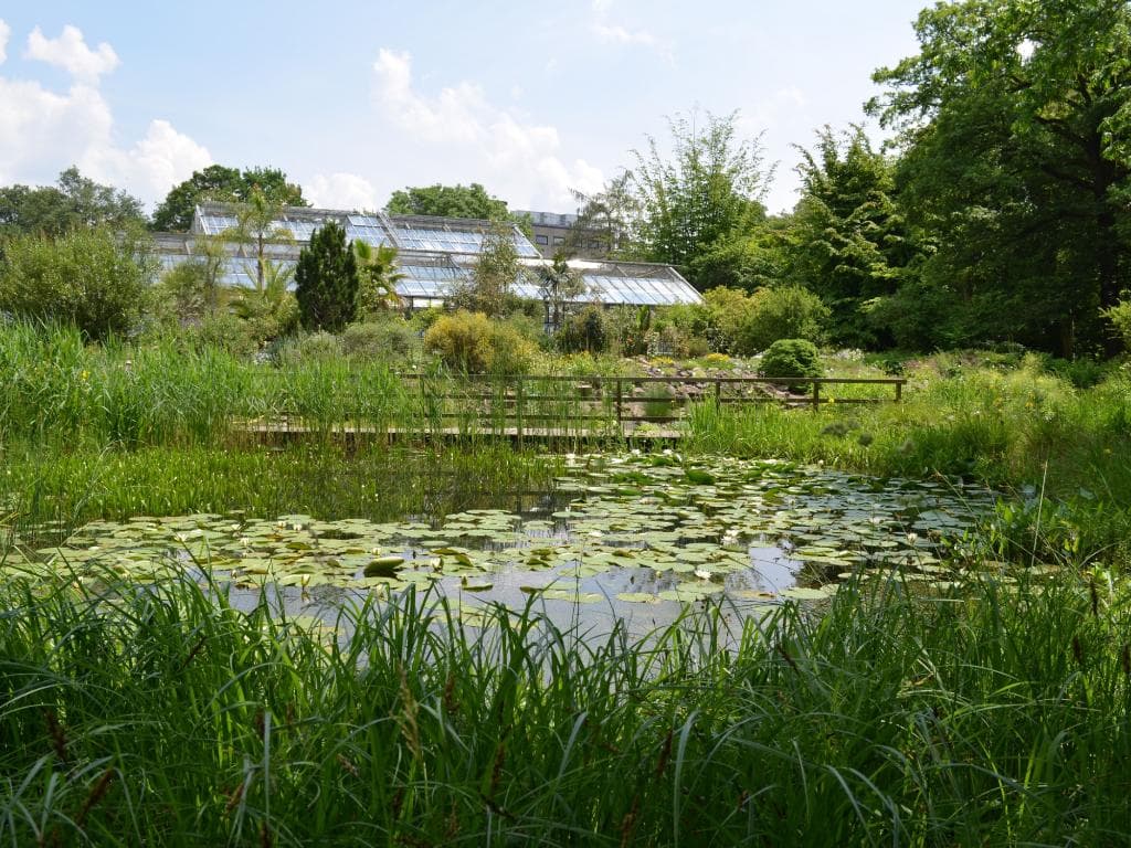 Feuchtbiotope