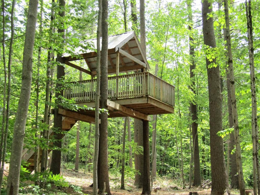 Wooded Hiking Trails