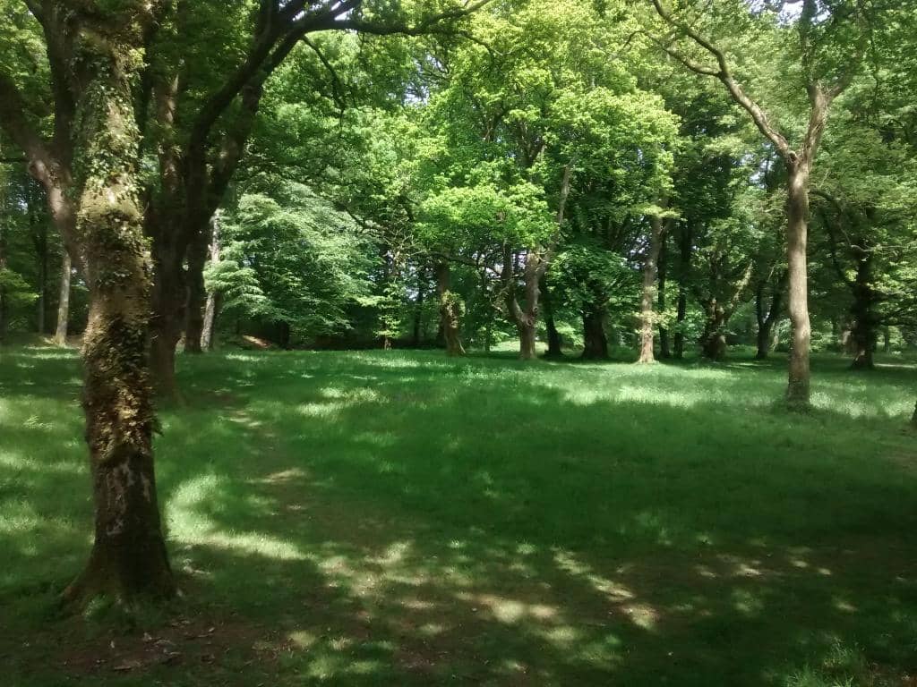 Vertical photo