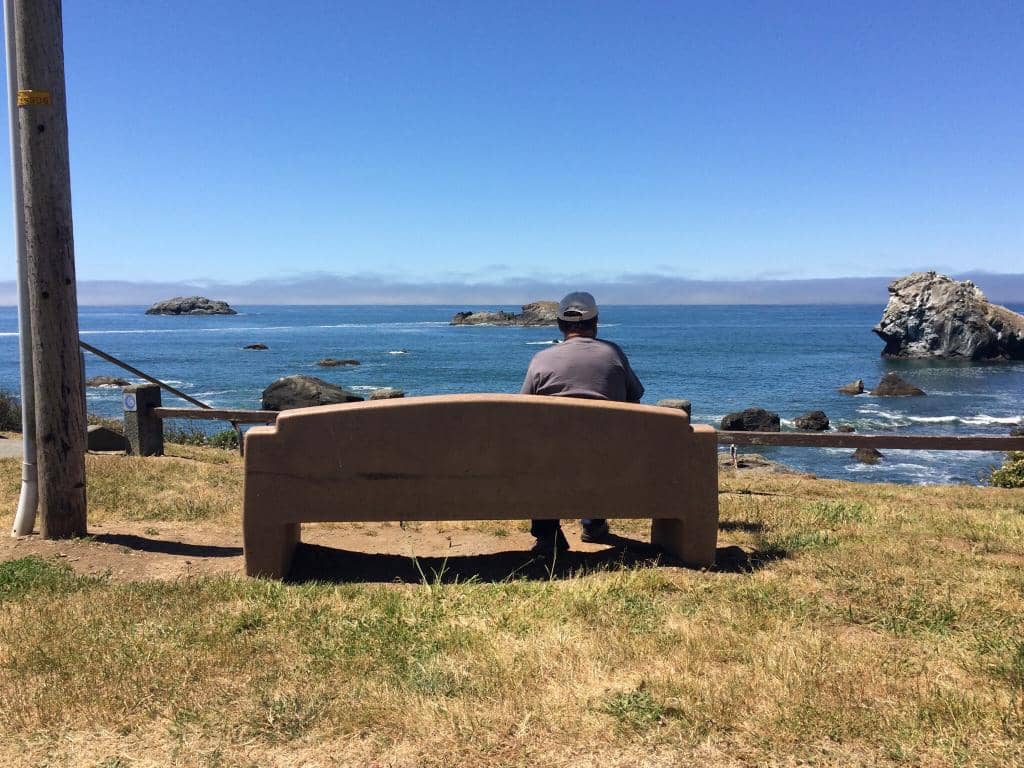 Pebble Beach Drive Scenic Views