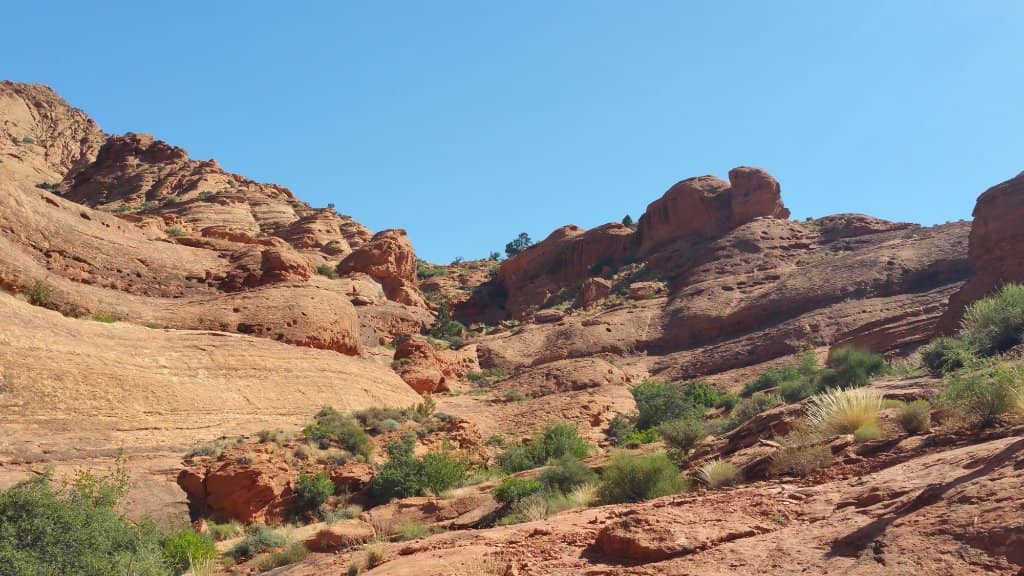Dinosaur Tracks