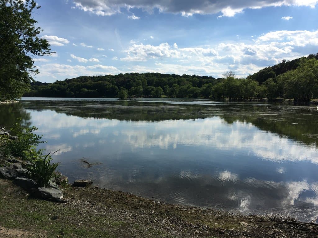 On the edge of Jamaica Pond.
