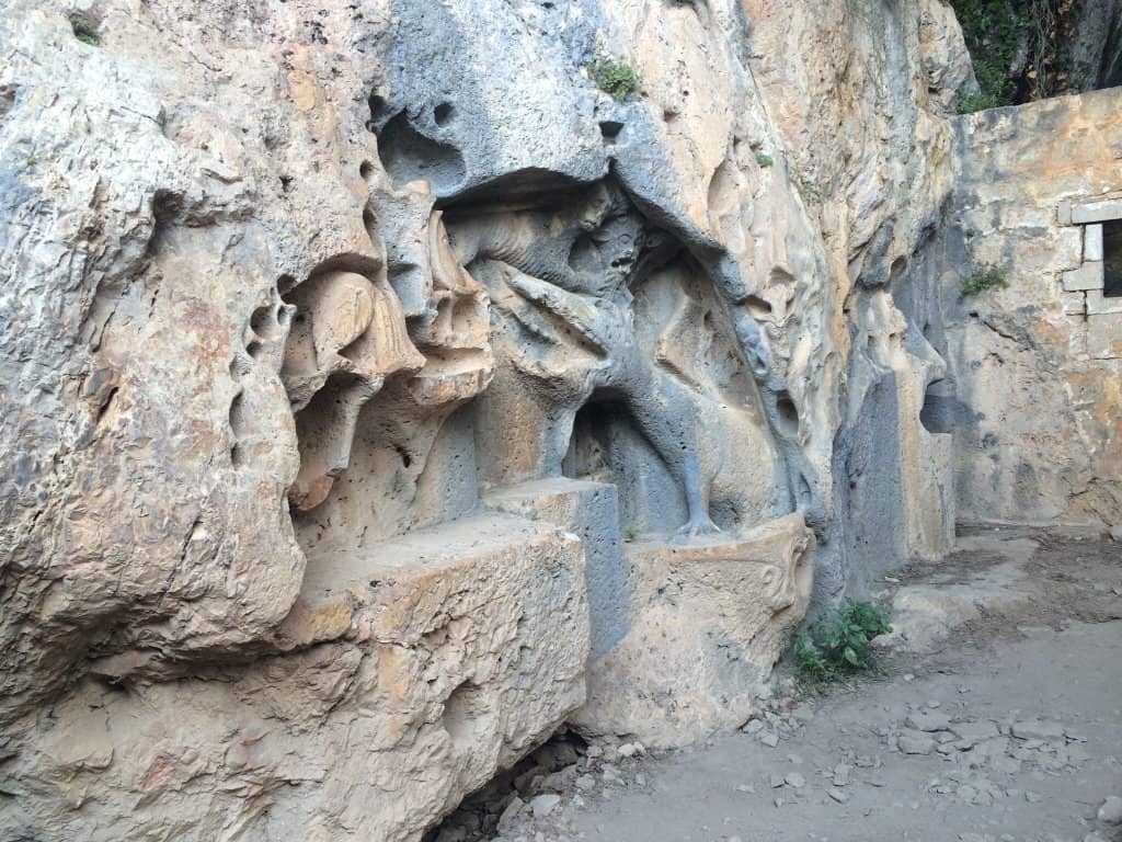 Steep Vineyard Terraces